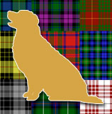 Scottish Games & Festival