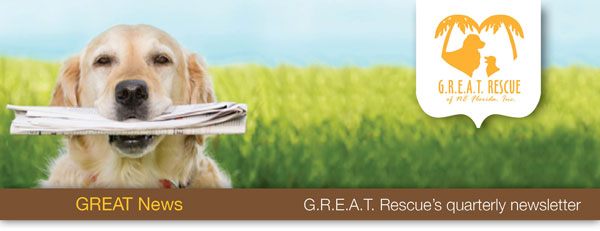 GREAT News | G.R.E.A.T. Rescue's quarterly newsletter